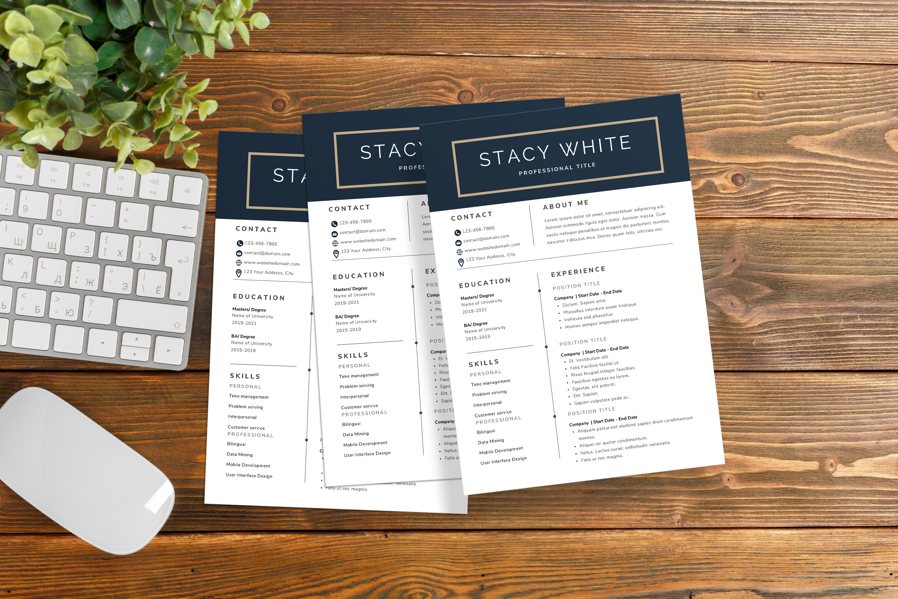 Professional Modern Resume CV Template for Word, Google Docs & Canva