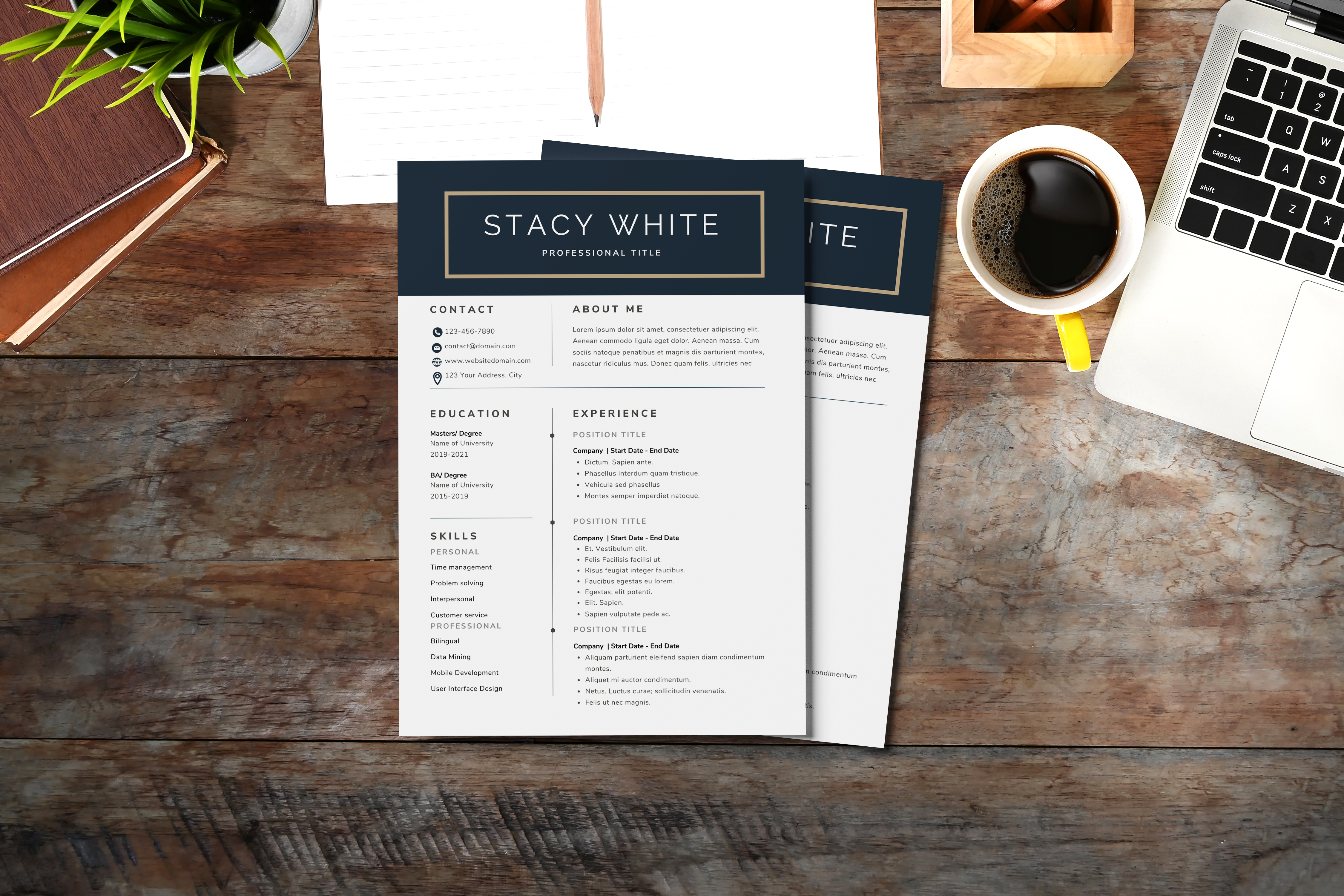 Professional Modern Resume CV Template for Word, Google Docs & Canva