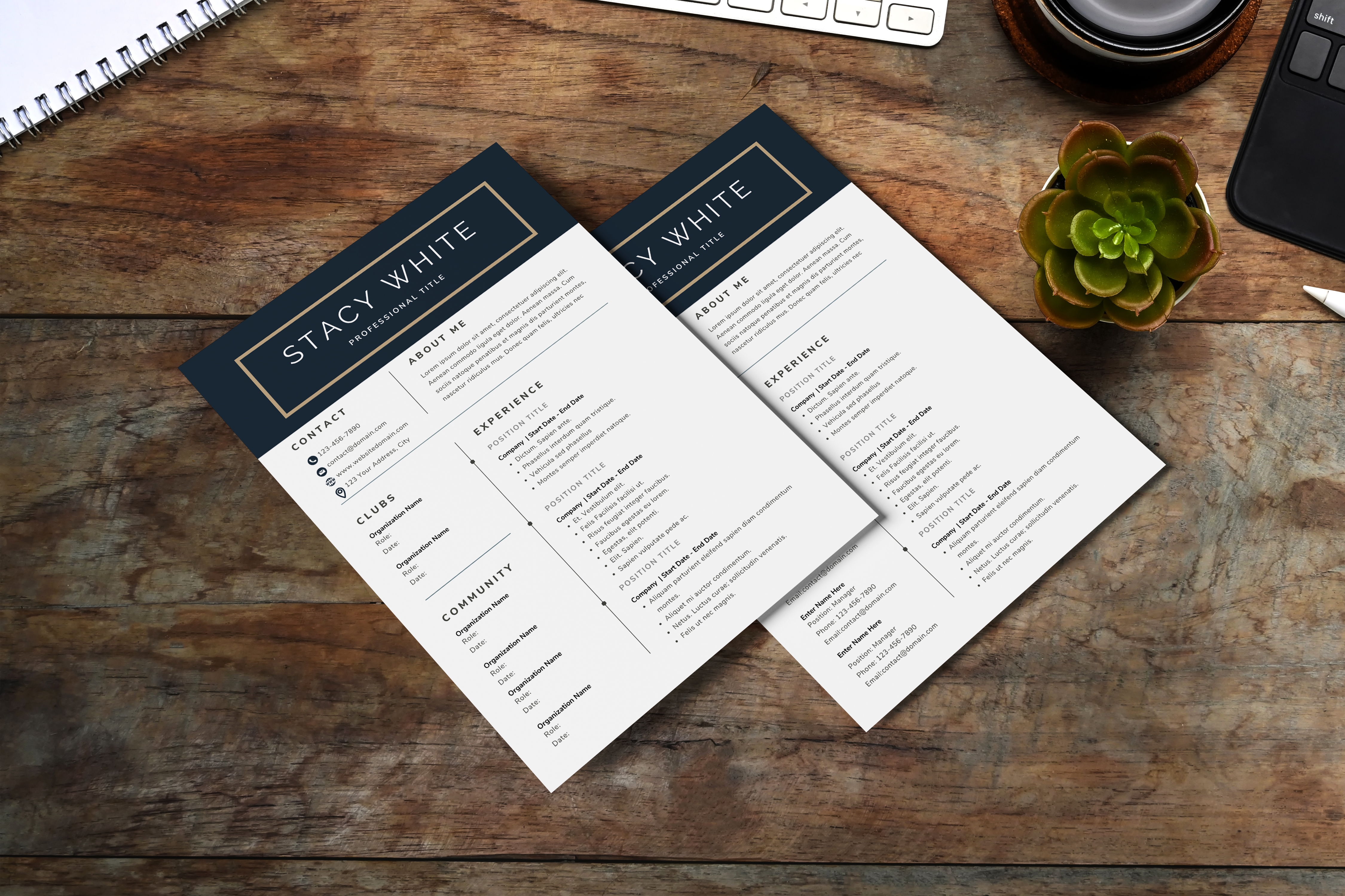 Professional Modern Resume CV Template for Word, Google Docs & Canva