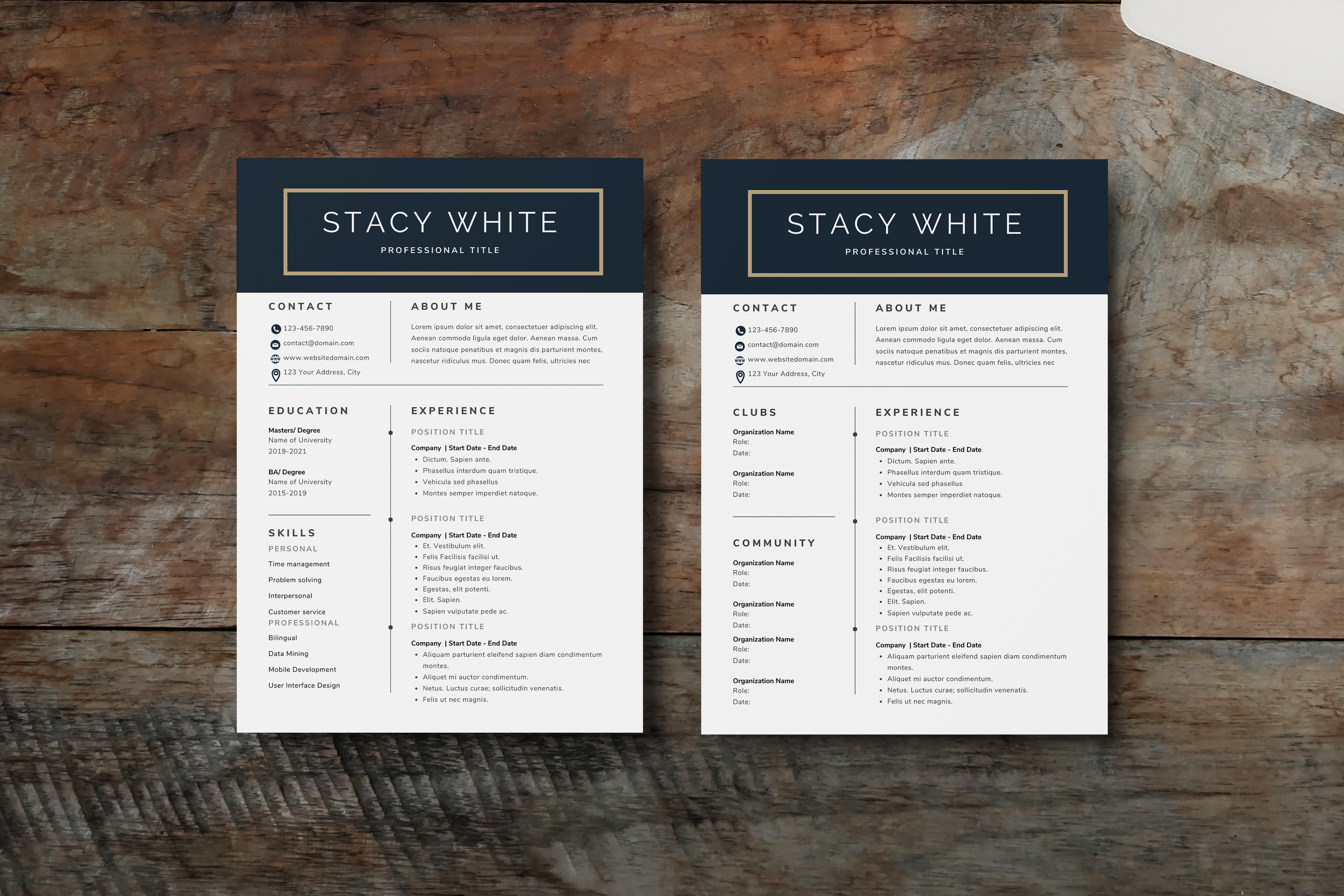 Professional Modern Resume CV Template for Word, Google Docs & Canva